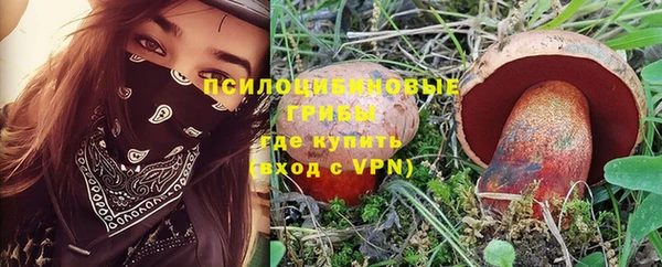 МДПВ Краснотурьинск