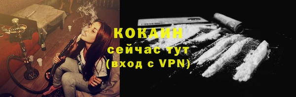 дживик Коряжма