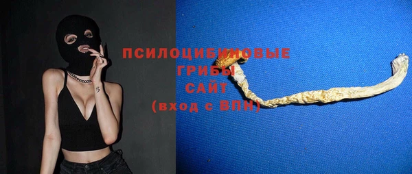 прущие грибы Костерёво