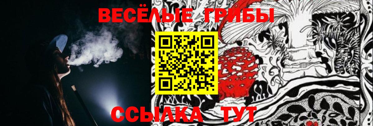 Галлюциногенные грибы GOLDEN TEACHER Углич